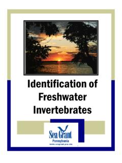 Identification of Freshwater Invertebrates
