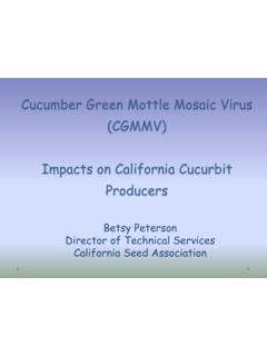 Cucumber Green Mottle Mosaic Virus (CGMMV) …