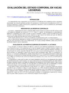 EVALUACIN DEL ESTADO CORPORAL EN VACAS LECHERAS