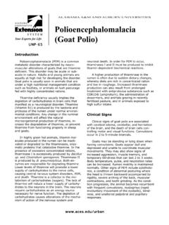 ALABAMA A&amp;M AND AUBURN UNIVERSITIES Polioencephalomalacia ...