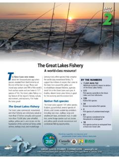 The Great Lakes Fishery