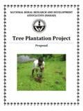 Tree Plantation Project - NARAD