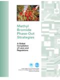 Methyl Bromide Phase-Out Strategies - UNEP