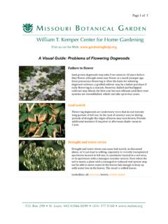 A Visual Guide: Problems of Flowering Dogwoods