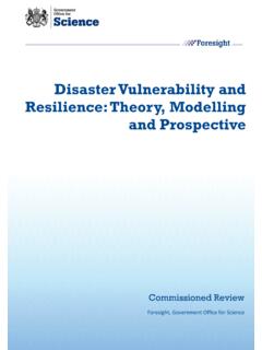 Disaster Vulnerability and Resilience: Theory, Modelling ...