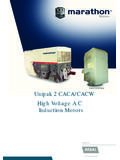 Unipak 2 CACA/CACW High Voltage A C Induction …