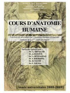 COURS D’ANATOMIE HUMAINE