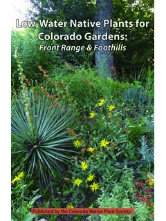 Low-Water Native Plants for Colorado Gardens - Extension