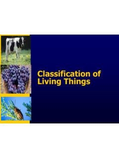 Classification of Living Things - Pearland High School