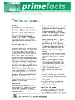 Treating calf scours - Department of Primary Industries