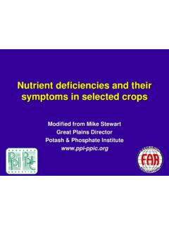 Nutrient deficiencies and their symptoms in selected crops