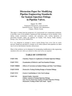 Discussion Paper for Modifying Pipeline Engineering ...