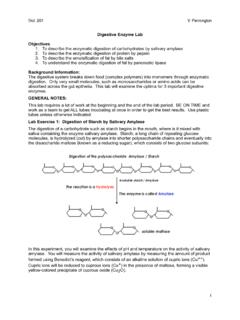 GENERAL NOTES: Lab Exercise 1: Digestion of Starch by …