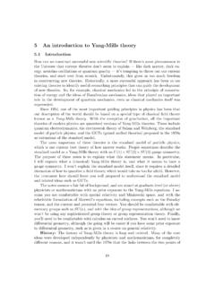 5 An introduction to Yang-Mills theory - Michael Nielsen