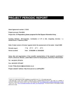 PROJECT PERIODIC REPORT - SKA Telescope