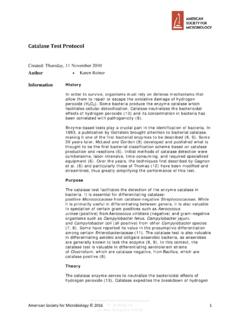 Catalase Test Protocol - American Society for Microbiology