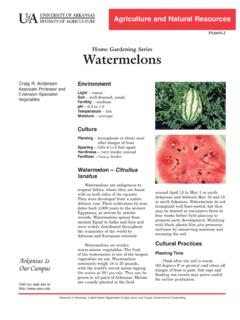 Home Gardening Series Watermelons - uaex.edu