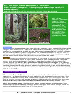 BC’s Coast Region: Species &amp; Ecosystems of Conservation ...