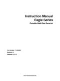 Instruction Manual Eagle Series - RKI Instruments
