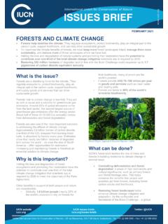 NOVEMBER 2017 FORESTS AND CLIMATE CHANGE - IUCN