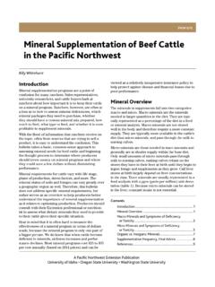 Mineral Supplementation of Beef Cattle in the Pacific ...