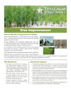 Tree Improvement - Texas A&amp;M Forest Service