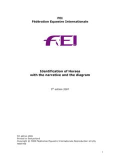 FEI F&#233;d&#233;ration Equestre Internationale