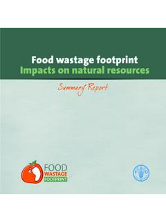 Food wastage footprint: Impacts on natural resources ...