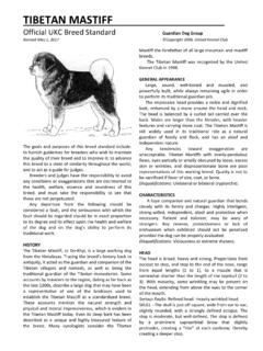 TIBETAN MASTIFF - United Kennel Club