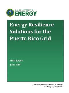 Energy Resilience Solutions for the Puerto Rico Grid