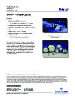 Bristol Helicoid Gauges - Emerson