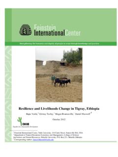 Resilience and Livelihoods Change in Tigray, Ethiopia