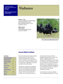 USDA APHIS | Vultures