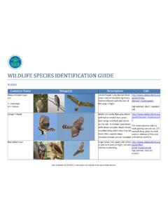 WILDLIFE SPECIES IDENTIFICATION GUIDE - RIRRC