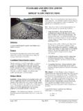 STANDARD AND SPECIFICATIONS FOR RIPRAP …