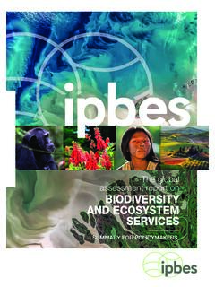 The global assessment report on BIODIVERSITY AND …