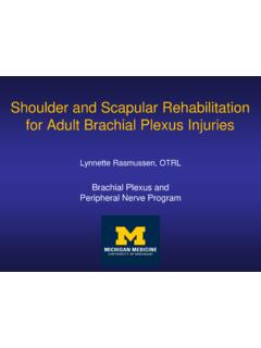 Shoulder and Scapular Rehabilitation for Adult Brachial ...