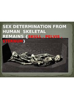 SEX DETERMINATION FROM HUMAN SKELETAL REMAINS …
