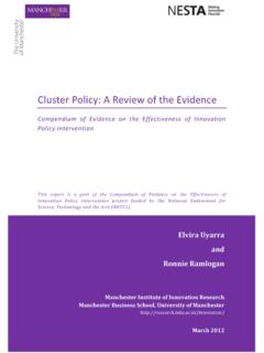 Cluster Policy: A Review of the Evidence - Innovation Policy