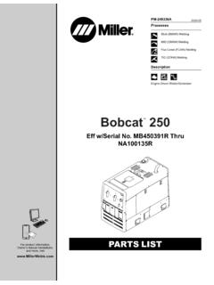 Bobcat 250