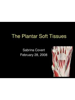 Abnormalities of the Plantar Soft Tissues - …