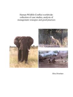 Human-Wildlife Conflict worldwide: collection of case ...