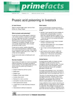 Prussic acid poisoning in livestock - NSW …