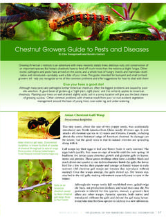 Chestnut Growers Guide to Pests and Diseases