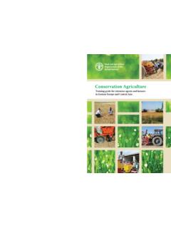 Conservation Agriculture - Food and Agriculture Organization