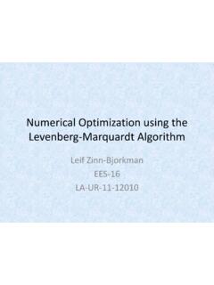 Numerical Optimization using the Levenberg-Marquardt …