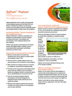 DuPont™ Pastora&#174; herbicide for bermudagrass …