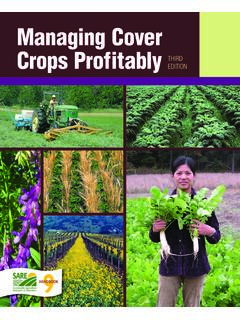 Managing Cover Crops Profitably - SARE