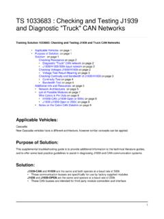 and Diagnostic Truck CAN Networks TS 1033683 : Checking ...