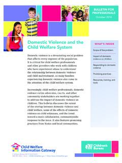 Domestic Violence and the Child Welfare System